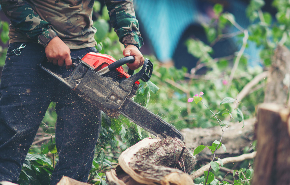 Aménagement d’un espace vert à Excenevex